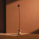 banibis_sync_46092_233.jpg